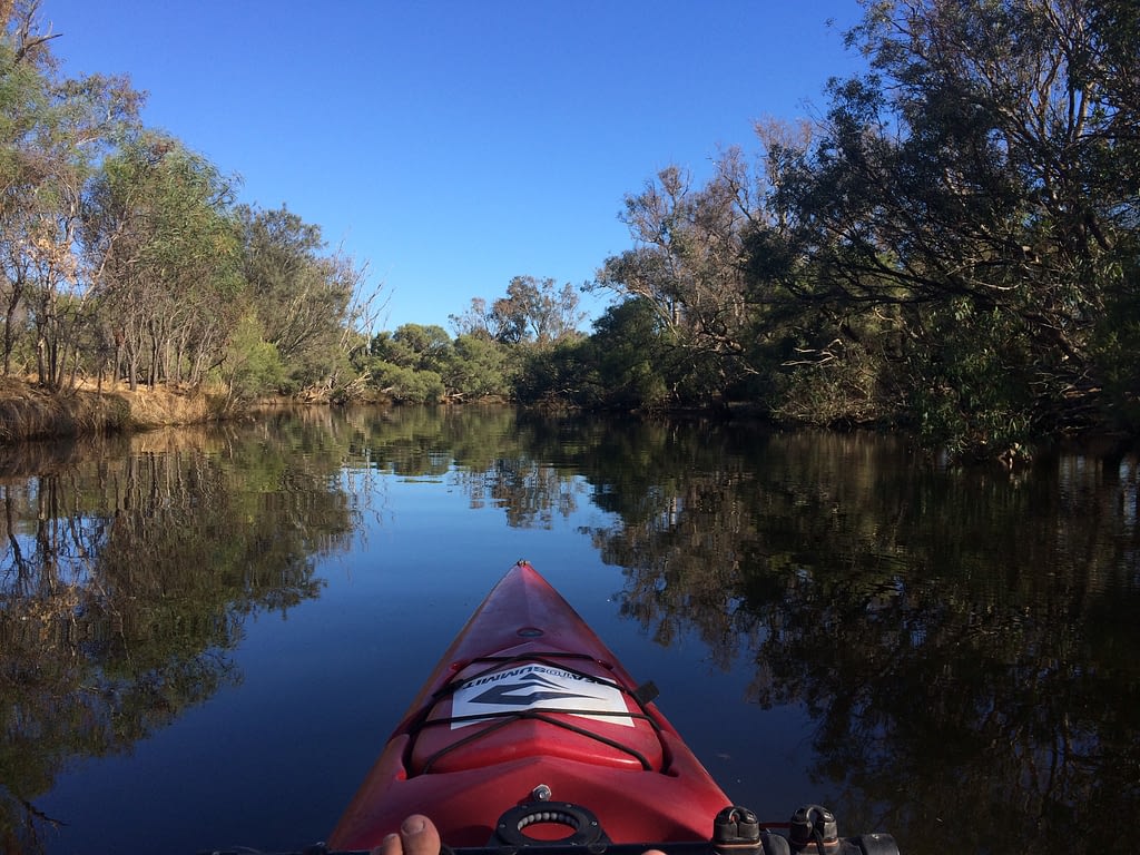 Guided River Kayaking – Peel-Harvey Rivers